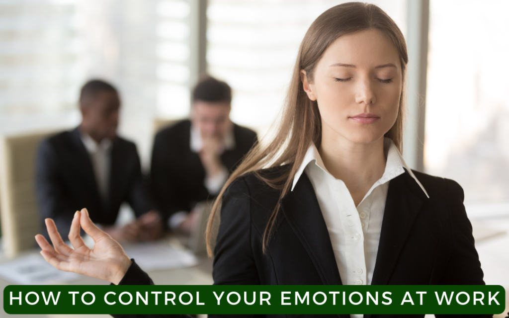 How To Control Your Emotions At Work Meritage Leadership Consulting