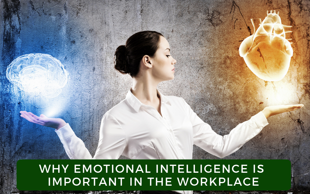 Why Emotional Intelligence is Important in the Workplace